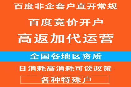百度竞价排名案例：实战解析如何抢占市场先机